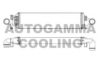 AUTOGAMMA 107510 Intercooler, charger